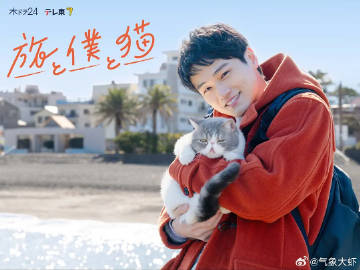 旅行和我和猫